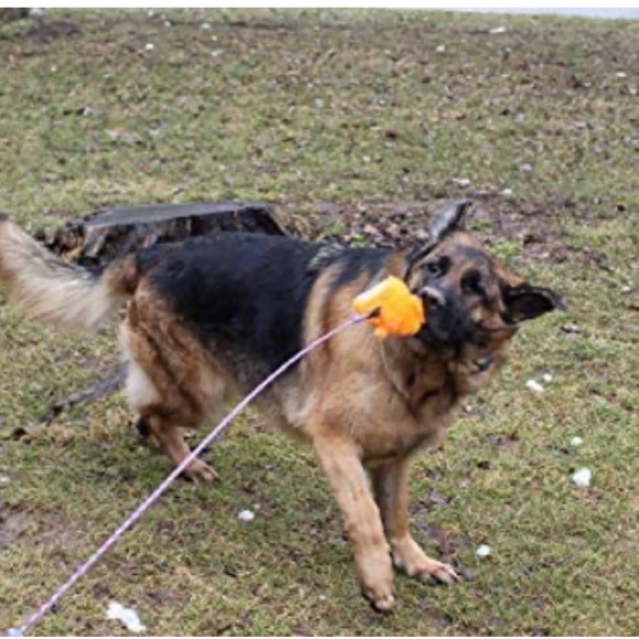 DIBBATU Flirt Pole for Dogs Interactive Dog Toys for Large  Dog Flirt Pole Set
